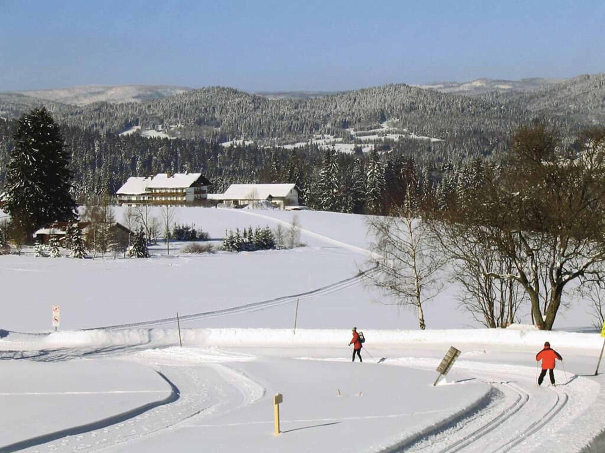 Hotel Maerchenwald Haidmühle Екстериор снимка